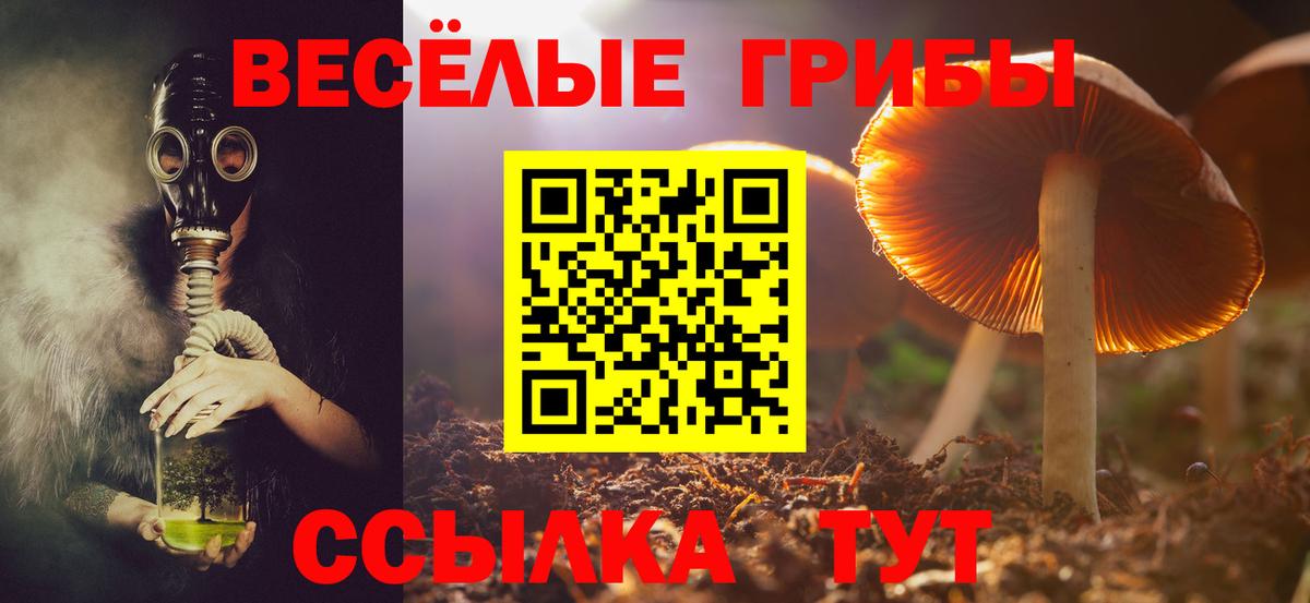 сколько стоит  Галлюциногенные грибы Cubensis  Приморско-Ахтарск  Вход с VPN  Псилоцибиновые грибы Psilocybine cubensis 